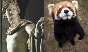 Que-hacer-cuarentena-museos-zoológicos-desde-casa