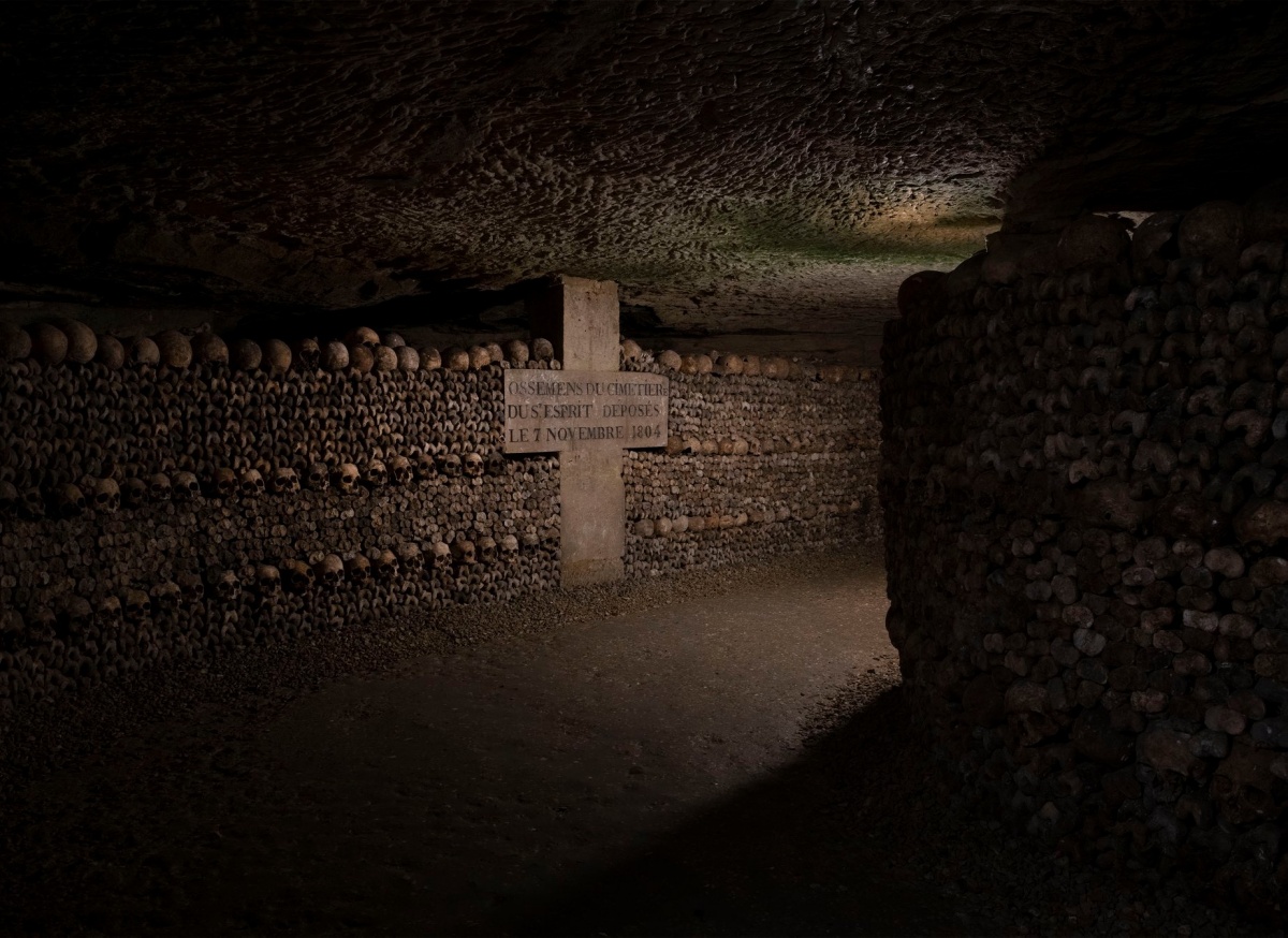 Realiza un recorrido virtual y gratuito