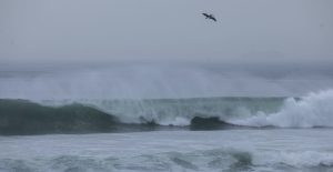 "Frank" se debilita a tormenta tropical y no presenta un peligro para México: Conagua