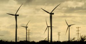 Crisis energética mundial aceleró la expansión la generación de energía renovable: AIE