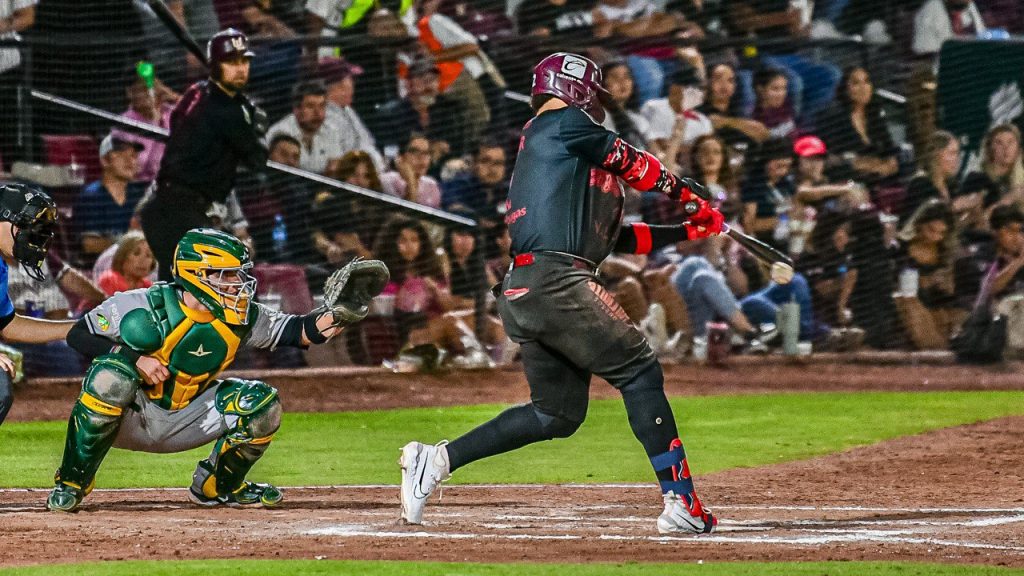 Pericos Algodoneros Serie Rey