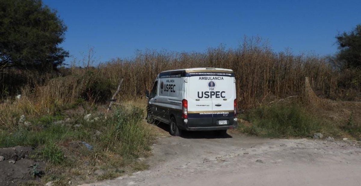 Hallan al menos 11 cuerpos en fosas clandestinas en el municipio